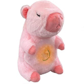 Light Up Musical Capybara Stuff Kids Toy In Bulk